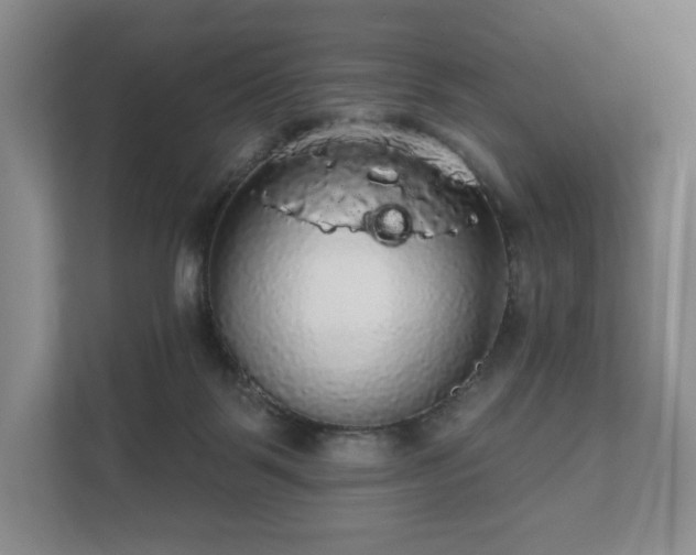 X0000111580123200907231243