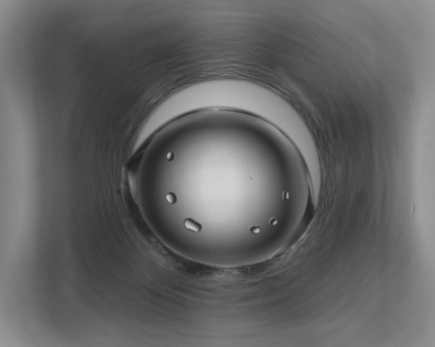 X0000111580124200907231243