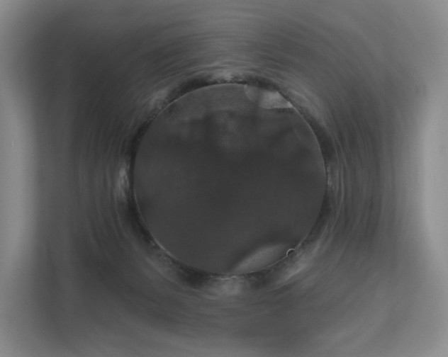 X0000111580127200907231243