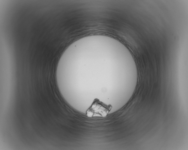 X0000111580129200907231243