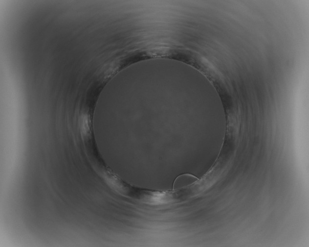 X0000111580130200907231243