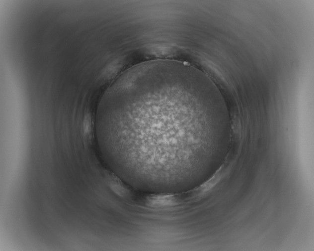 X0000111580132200907231243