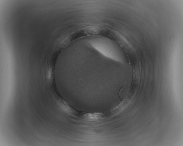 X0000111580134200907231243