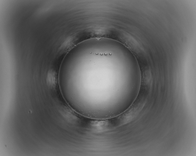 X0000111580135200907231243