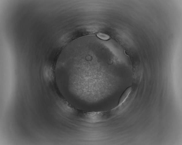X0000111580136200907231243