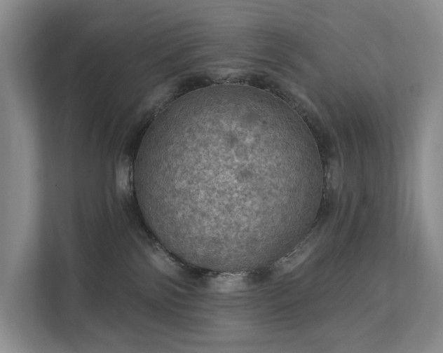 X0000111580138200907231243