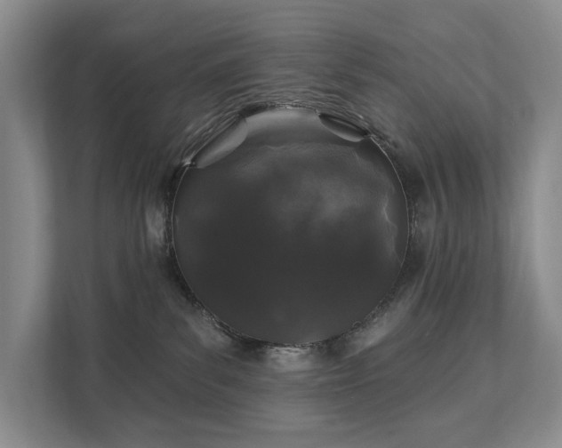 X0000111580139200907231243