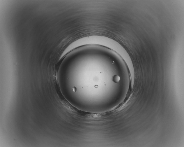 X0000111580140200907231243
