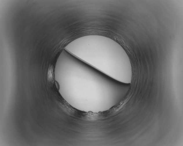 X0000111580143200907231243