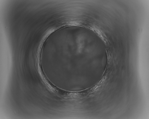 X0000111580145200907231242