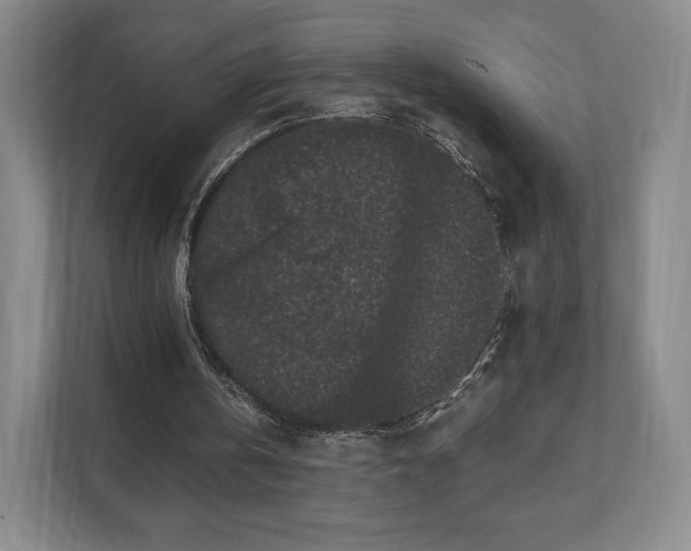 X0000111580146200907231242