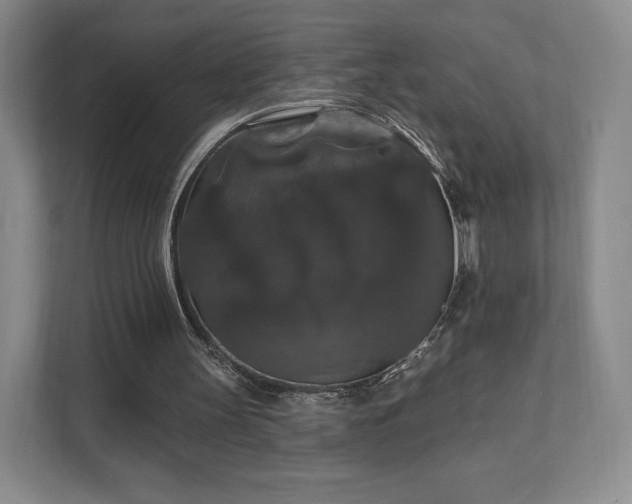 X0000111580147200907231242
