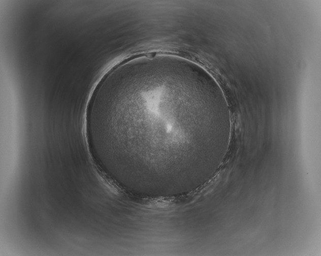 X0000111580148200907231242