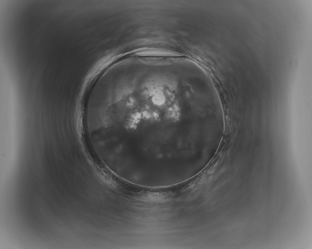X0000111580149200907231242