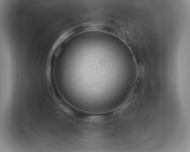 X0000111580150200907231242