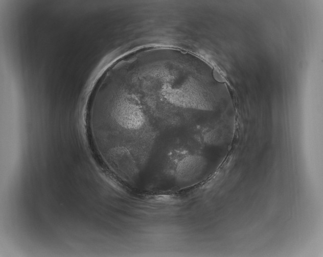 X0000111580151200907231242