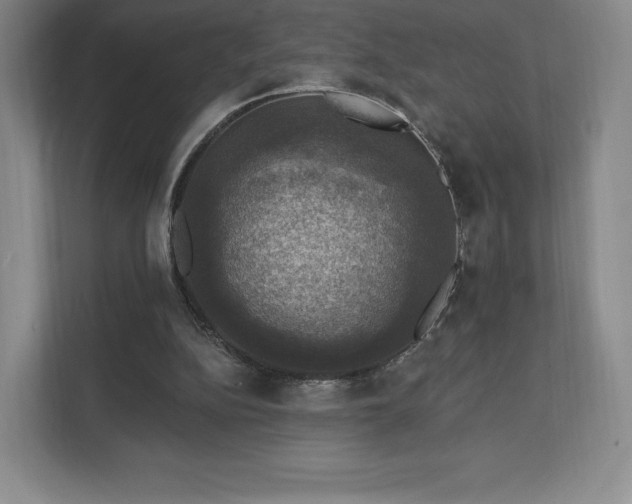 X0000111580152200907231242