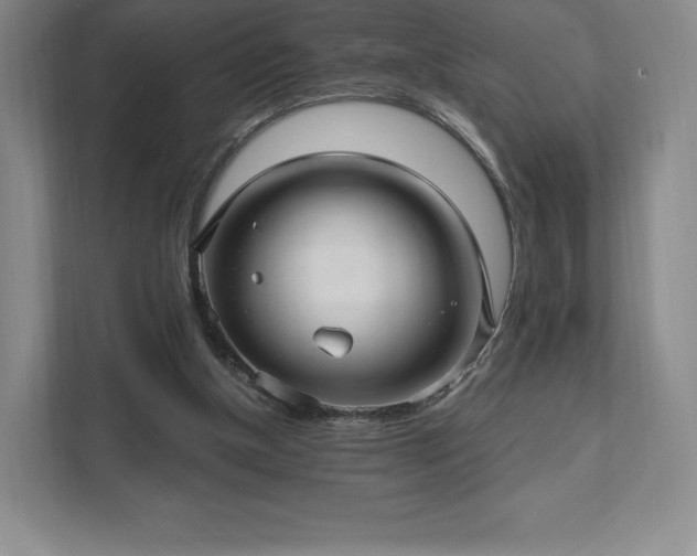 X0000111580154200907231242