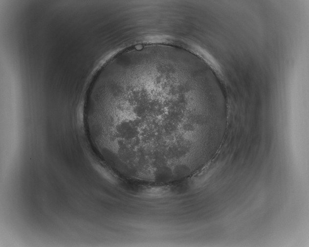 X0000111580155200907231242