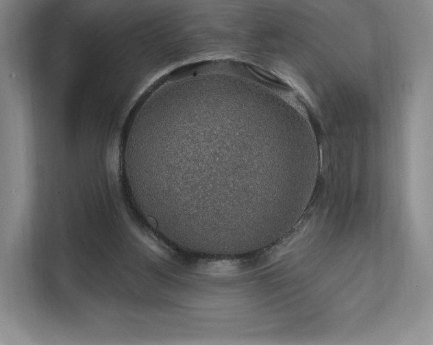 X0000111580156200907231242