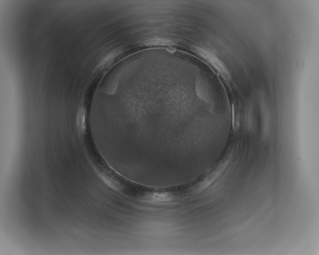 X0000111580157200907231242