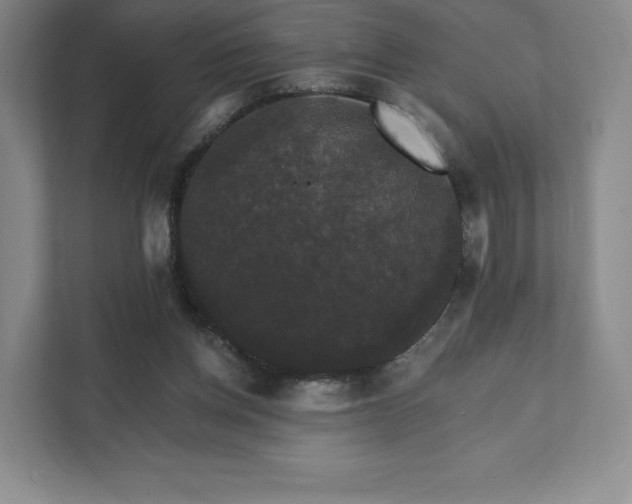 X0000111580158200907231242