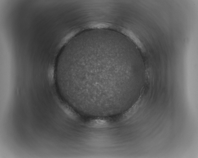 X0000111580159200907231242