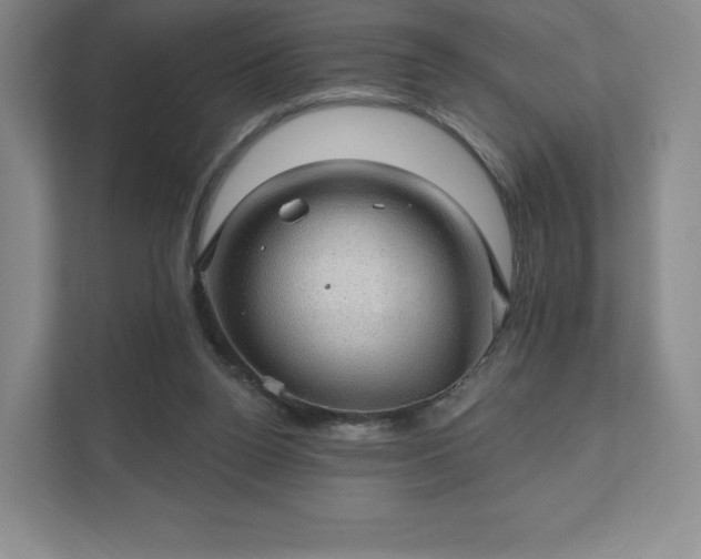 X0000111580160200907231242