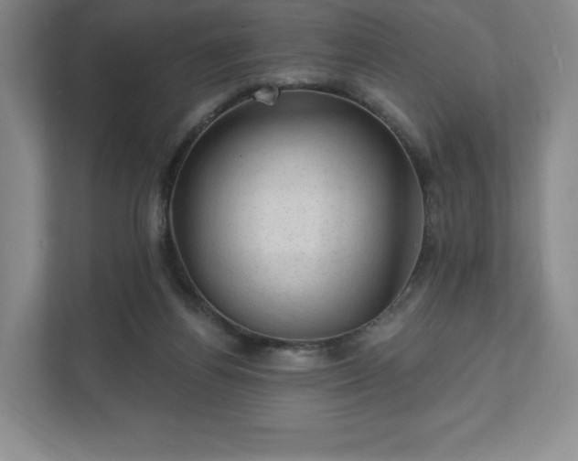 X0000111580164200907231242