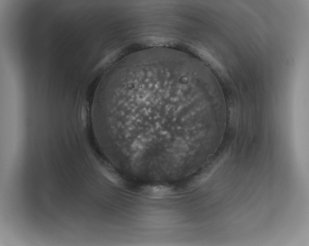 X0000111580165200907231242