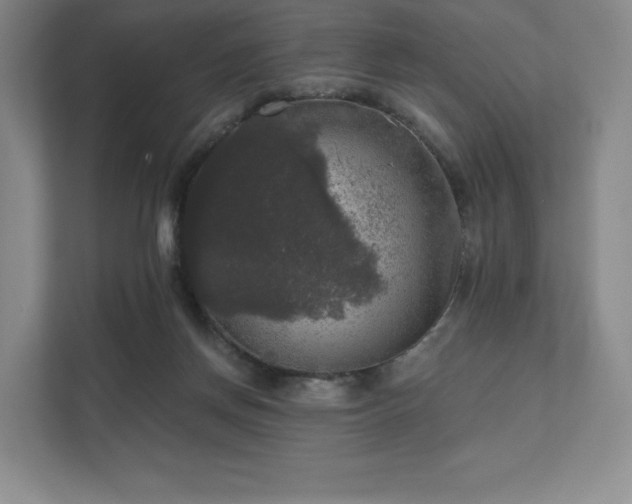 X0000111580166200907231242