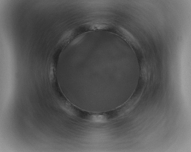 X0000111580169200907231242