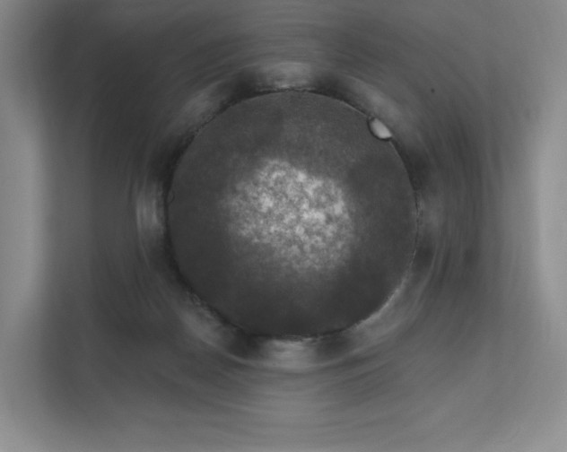 X0000111580170200907231242