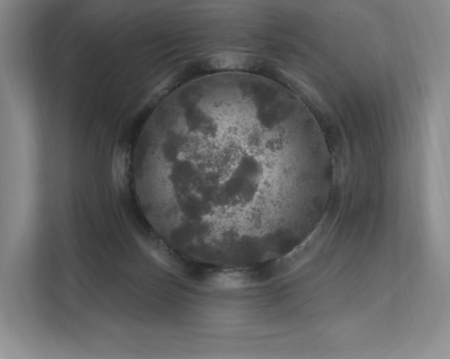 X0000111580171200907231242