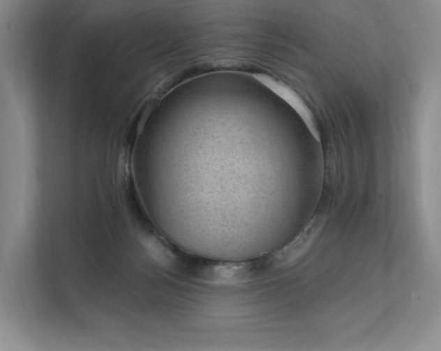 X0000111580172200907231242