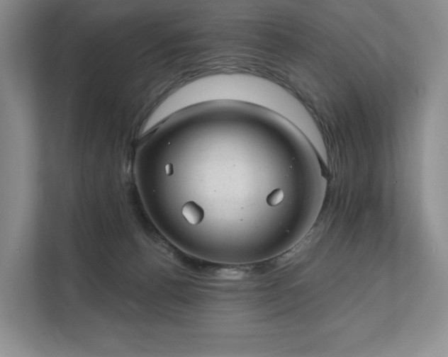 X0000111580176200907231242