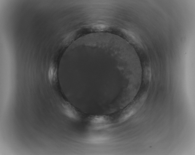 X0000111580177200907231242