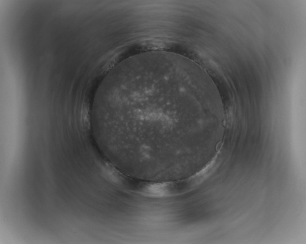 X0000111580178200907231242