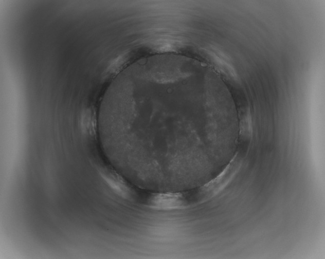 X0000111580179200907231242