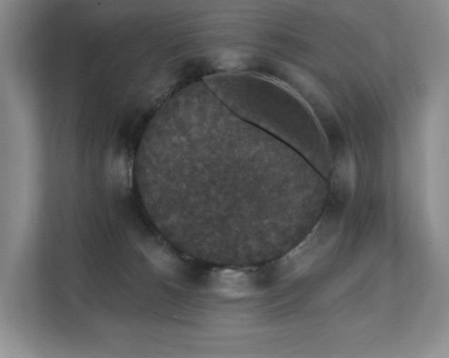 X0000111580180200907231243