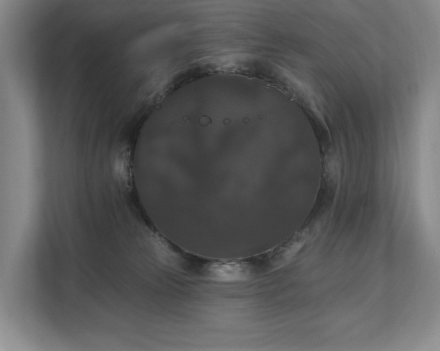 X0000111580181200907231243