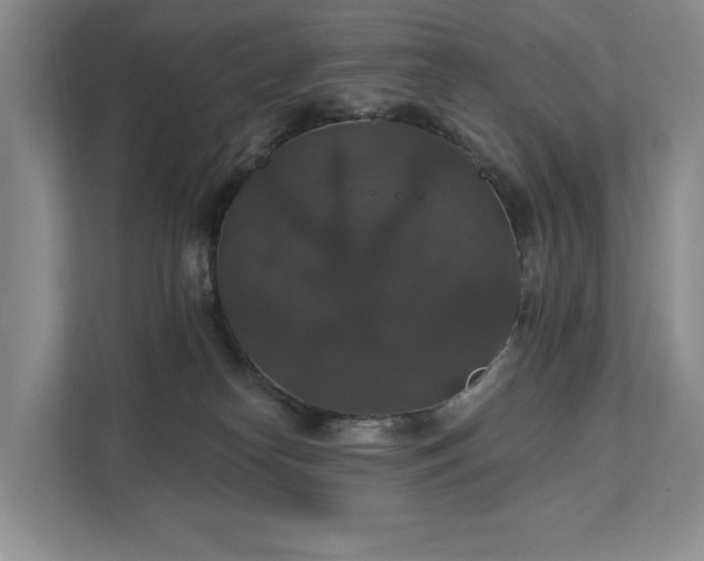 X0000111580182200907231243