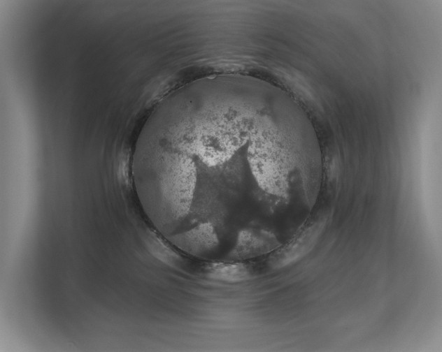 X0000111580185200907231243