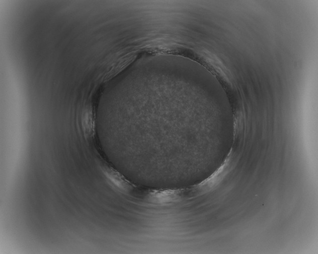 X0000111580186200907231243
