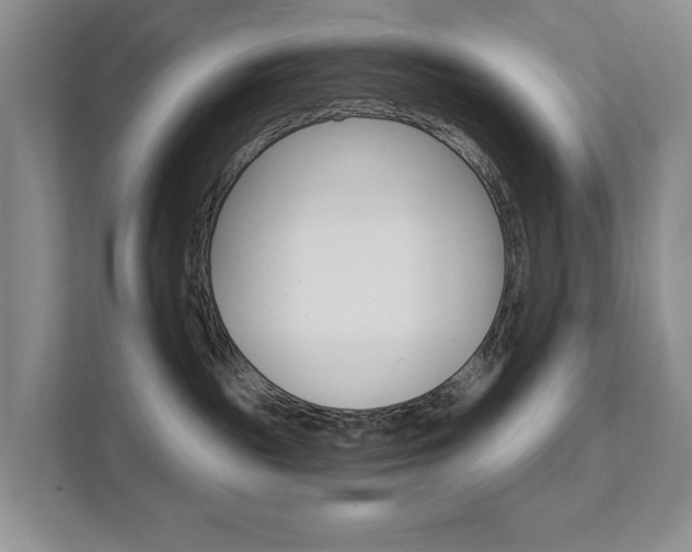 X0000111580189200907231243
