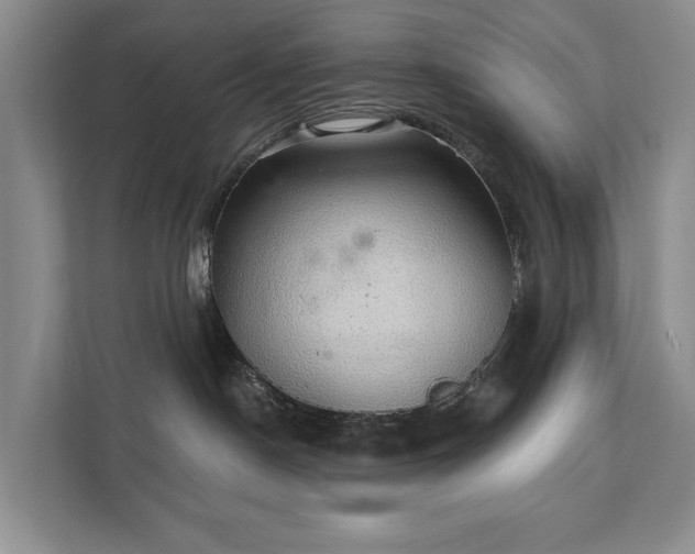 X0000111580190200907231243
