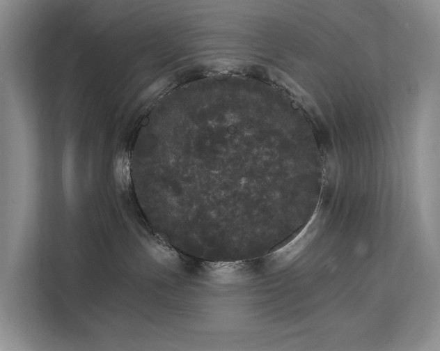 X0000111580191200907231243