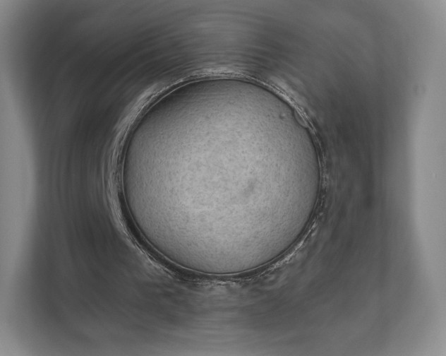 X0000111580193200907231242
