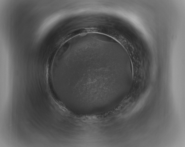 X0000111580194200907231242
