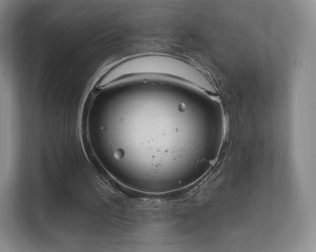 X0000111580195200907231242